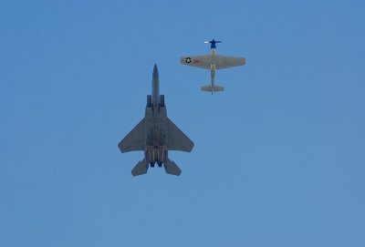 Eagle and Mustang