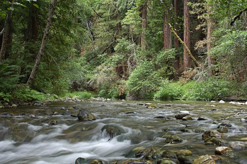 BIG SUR RIVER