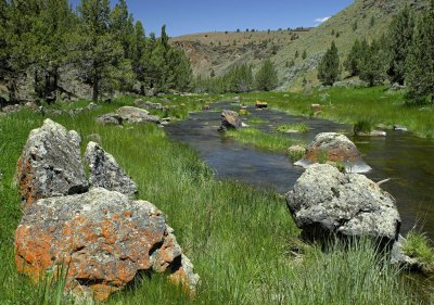 south fork crooked river