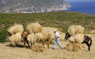 patmos is.