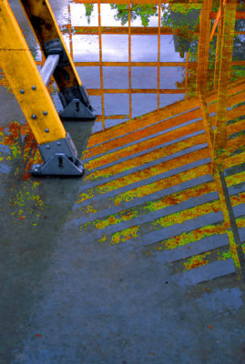 ladder and reflection