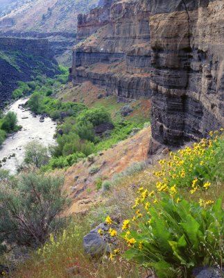 middle deschutes canyon