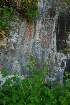pictographs and columbine
