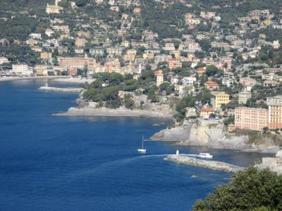 IMG_0911.jpg
