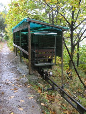 IMG_1026.jpg