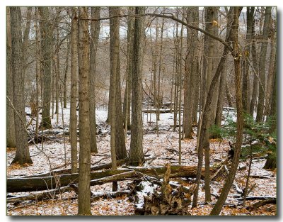 arboretum4660.jpg