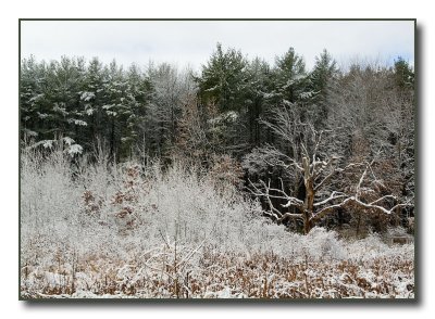UW Arboretum