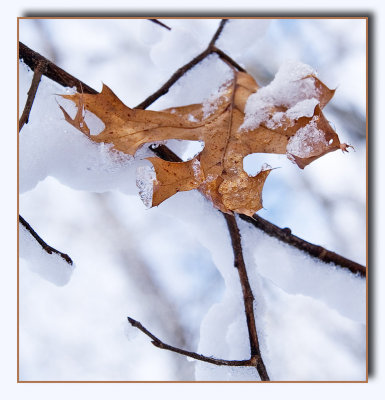 arboretum4864.jpg
