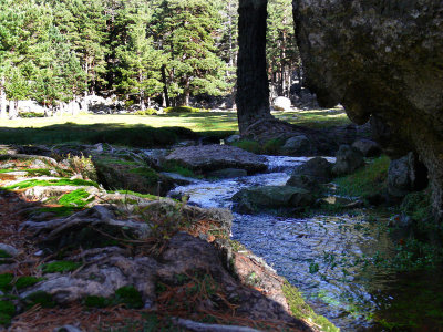Laguna Negra