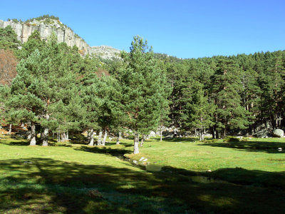 Laguna Negra