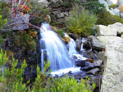 Cascada