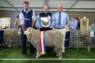 monaro ram of the year