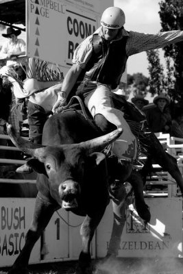 cooma rodeo 2007