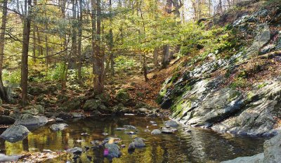 Cunningham Falls, MD 1