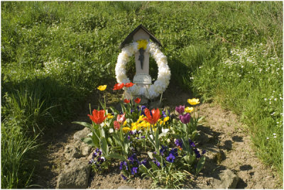 Vijlen in het voorjaar