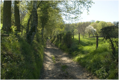 holle weg in Vijlen