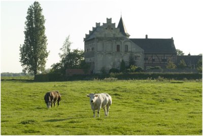 kasteel Hasselholt  - het Goedje