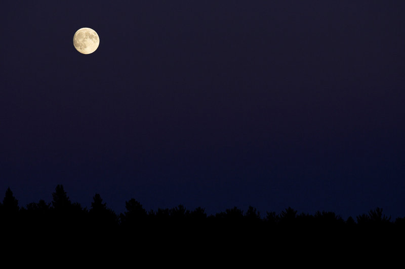Moon over Lake Itasca.jpg