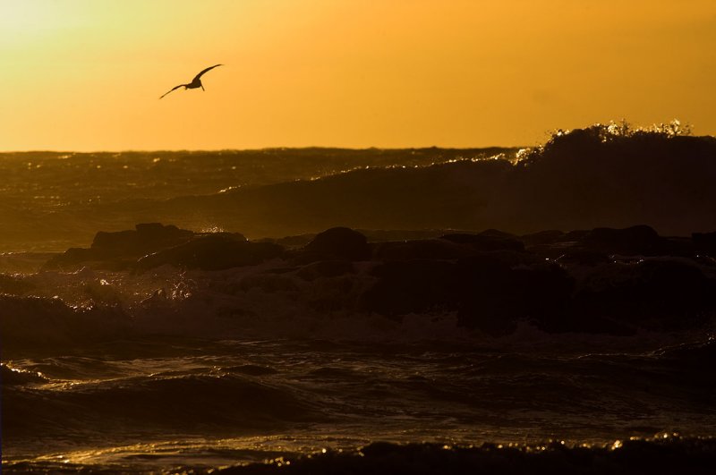 Playa Bruja sunset.jpg