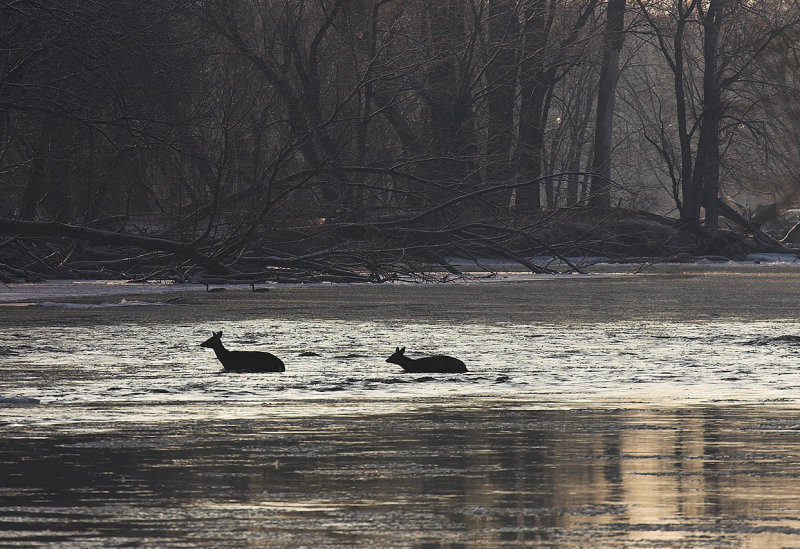 Winter Crossing - Mississippi River.jpg