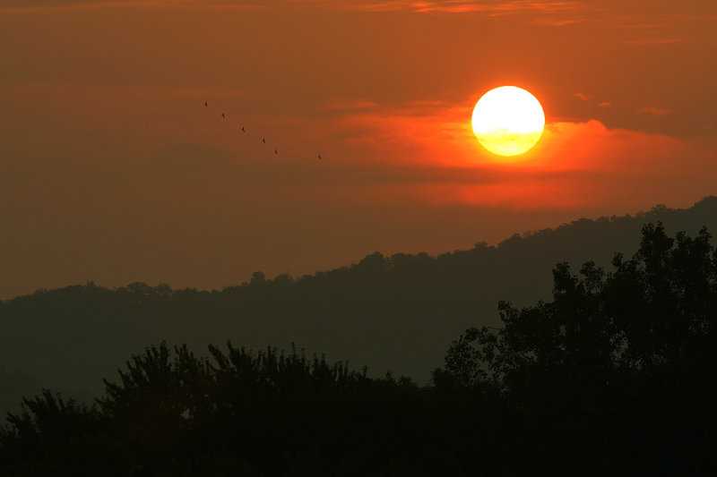 Winona Sunrise.jpg