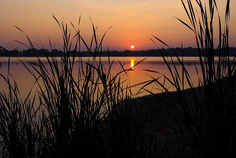 Lake Sara Sunrise.jpg