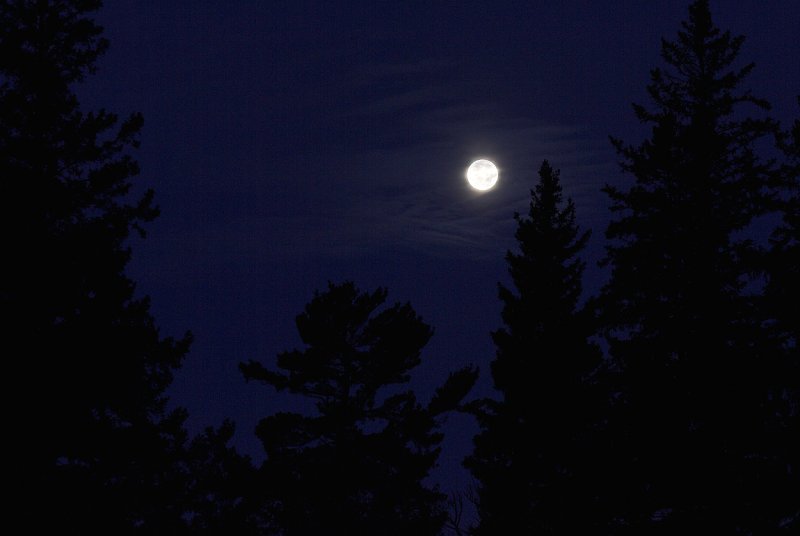 Full Moon over Pine Ridge campground.jpg