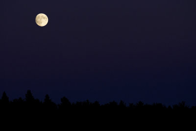 g6/68/382268/3/82253532.sm608m0L.jpg