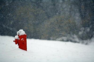 RED & WHITE