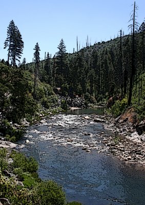 IMG_0625.jpg