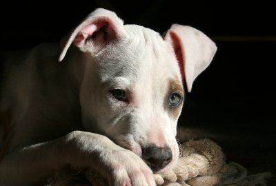IMG_5091.jpg