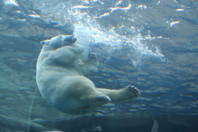 IMG_1828.JPG