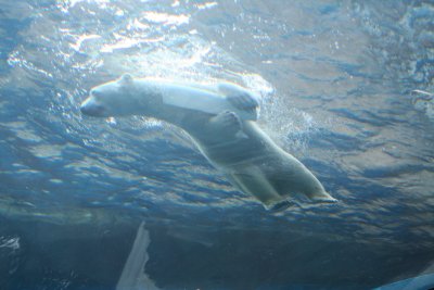 IMG_1827.JPG