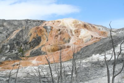 Yellowstone National Park 2007