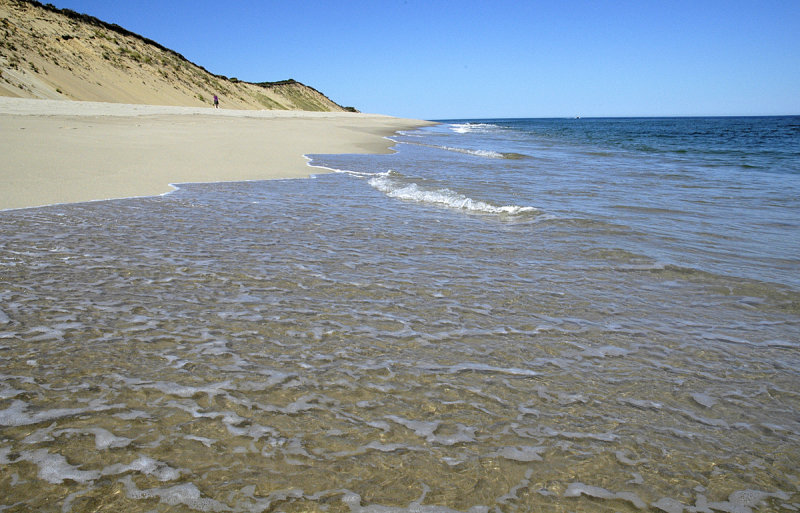Cahoon5 copy.jpg