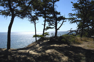 Great Island3+ copy.jpg