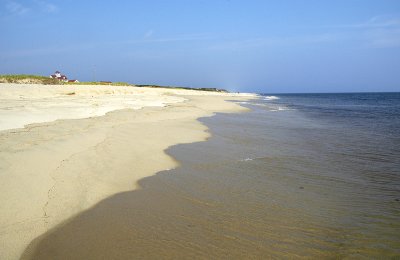 Coast Guard Beach1 copy.jpg