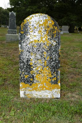 Eastham-Evergreen Cem 3 copy.jpg