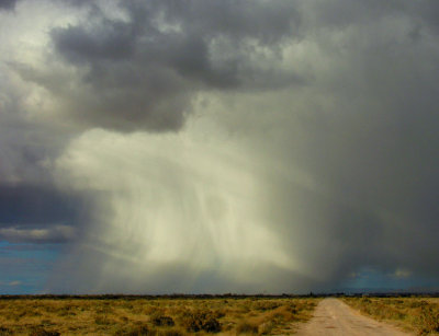 Mini Snow Shower