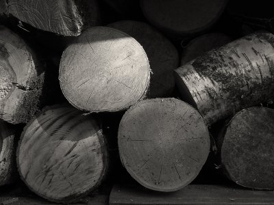 Firewood (DSCF0176w10d.jpg)