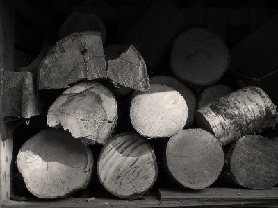 Firewood II (DSCF0177ls25d.jpg)