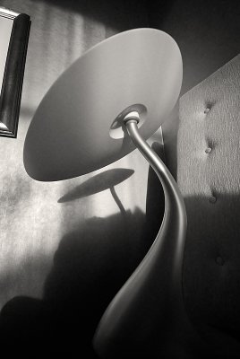 Alien Light Form (_DSC0456w1-10.jpg)