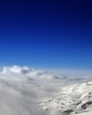 g6/68/538368/3/74719484.yQLdr2dx.jpg
