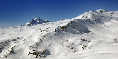 Swiss ridgeback (DSCF0369.jpg)