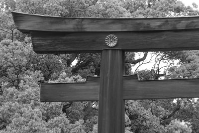 Meiji Jingu Gate I (_DSC0949.jpg)