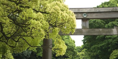 Meiji Jingu Gate II (_DSC0984.jpg)
