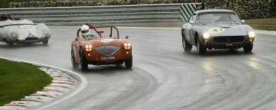 Austin Healey 100 (_DSC1166.jpg)