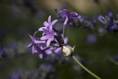 g6/68/538368/3/84837323.Enx1SG96.jpg