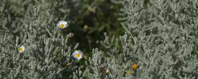 g6/68/538368/3/84837692.0sC8MPht.jpg