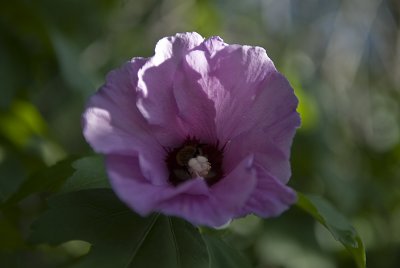 g6/68/538368/3/84838946.iNXo1tZe.jpg